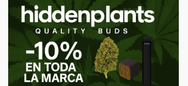flores cbd buenahierba